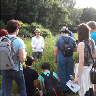 Kräuterwanderung Wien Berlin