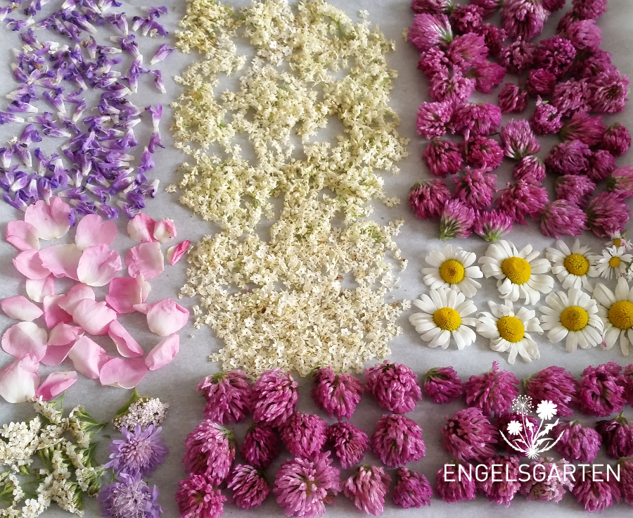 Getrocknete essbare Blüten