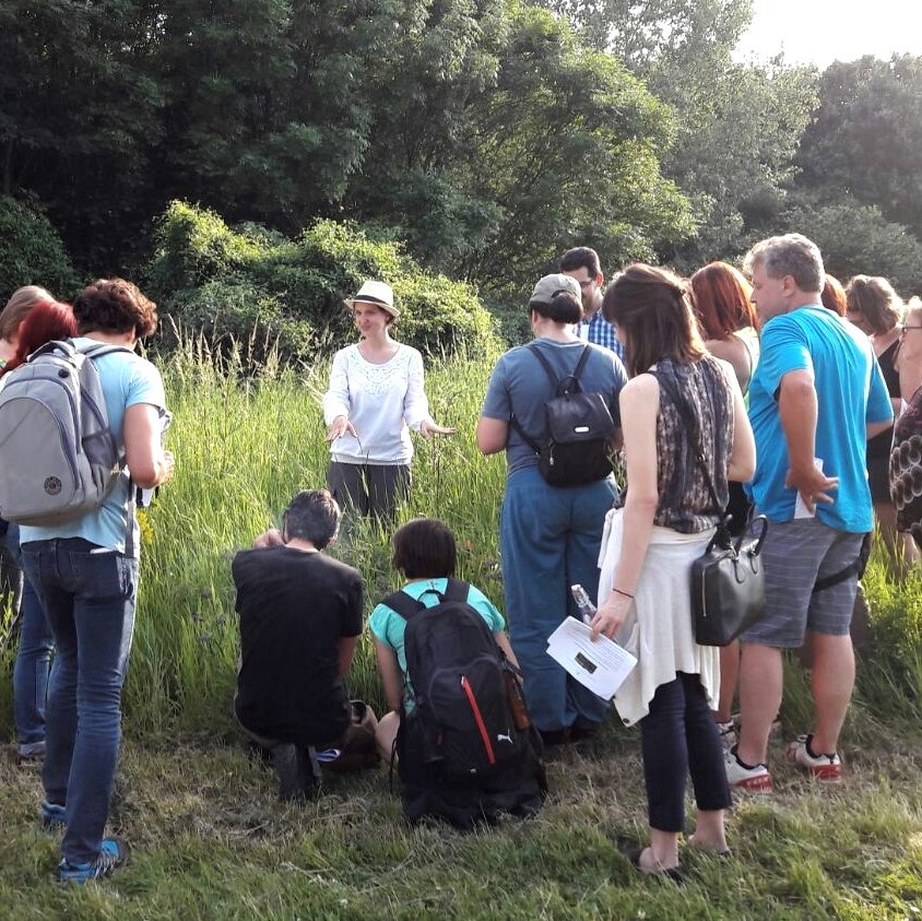 Kräuterwanderung Wien